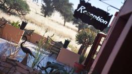 Skoda Yeti w Namibii - dzień 2 - poznajemy szutry i piaski