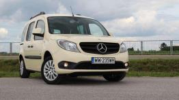 Mercedes Citan Kombi - radio taxi, proszę czekać!