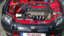 Moc, dźwięk i ... błoto