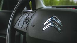 Citroen C4 Cactus Rip Curl - galeria redakcyjna