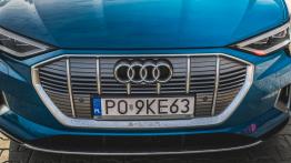Audi e-tron - galeria redakcyjna