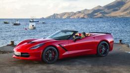 Chevrolet Corvette C7 Stingray Cabrio (2014) - wersja europejska - lewy bok