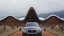 Jaguar XE 2.0d Ammonite Grey (2015) - widok z przodu
