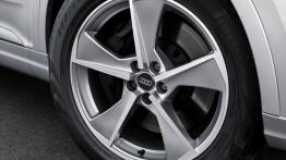 Audi Q7 II e-tron 2.0 TFSI quattro (2016) - koło