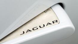 Jaguar F-Type AWD R Roadster (2016) - klamka przód