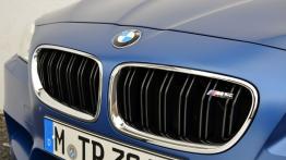 BMW M5 F10 Facelifting (2014) - grill