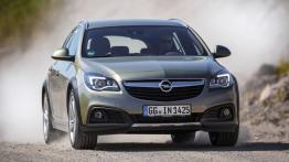 Opel Insignia Country Tourer (2013) - widok z przodu