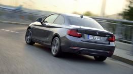 BMW 220i Coupe Sport Line (2014) - widok z tyłu
