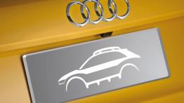 Audi Q3 Jinlong Yufeng Concept - emblemat