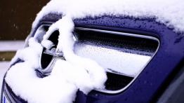 Opel Signum  Hatchback - galeria społeczności - grill