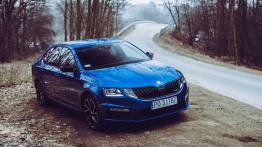 Skoda Octavia RS 245 - galeria redakcyjna (1) - widok z przodu