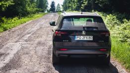 Skoda Karoq - galeria redakcyjna (1) - widok z tyłu