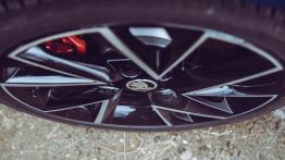 Skoda Octavia RS 245 - galeria redakcyjna (1)