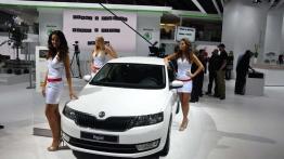 Nowości grupy Volkswagena na salonie w Paryżu (cz. 1)