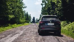 Skoda Karoq - galeria redakcyjna (1) - widok z tyłu