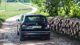 Skoda Karoq - galeria redakcyjna (1)