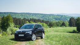 Skoda Karoq - galeria redakcyjna (1) - widok z przodu