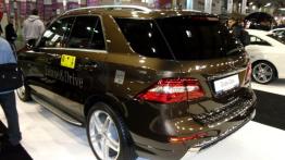 Poznań Motor Show 2012 - galeria nr 1 - inne zdjęcie