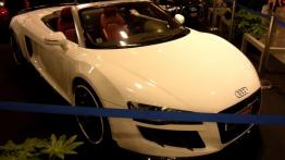 Poznań Motor Show 2012 - galeria nr 1 - inne zdjęcie