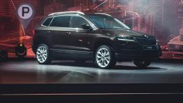 Skoda Karoq - Yeti od nowa