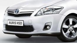 Przegląd rynku hybryd i samochodów elektrycznych