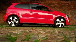 Hot or Not? - Volkswagen Polo GTI