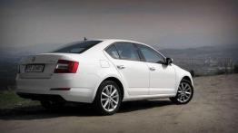 Lepszy diesel czy benzyna? Wybór silnika na podstawie nowej Octavii