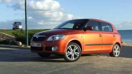 Nowa Skoda Fabia 1.4 16V czy 1.6 16V?