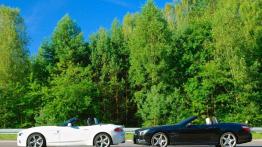 Roadstery w dwóch smakach - BMW Z4 35isDrive vs Mercedes SL350 BlueEFFICIENCY