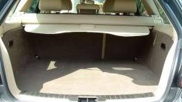 Praktyczny drapieżnik?