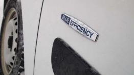 Mercedes Citan 109 CDI - nowość pod lupą zawodowca