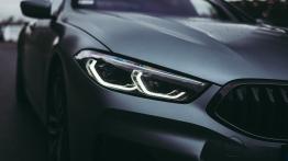 BMW M850i 4.4 530 KM - galeria redakcyjna - widok z przodu