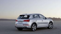 Audi Q5 (2017)