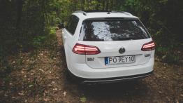 Volkswagen Golf Alltrack 2.0 TDI 184 KM - galeria redakcyjna (2) - widok z tyłu