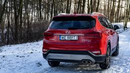 Hyundai Santa Fe 2.0 CRDI 185 KM - galeria redakcyjna - widok z ty³u