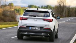 Opel Grandland X Ultimate (2018)  - widok z tyłu