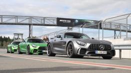 Mercedes-AMG GT R – galeria redakcyjna