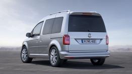 Volkswagen Caddy IV Kombi (2015) - widok z tyłu