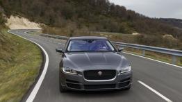 Jaguar XE 2.0d Ammonite Grey (2015) - widok z przodu