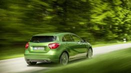 Mercedes A 220d 4MATIC (W 176 Facelifting) 2016 - widok z tyłu