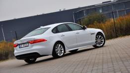 Jaguar XF (2016) - galeria redakcyjna - widok z tyłu