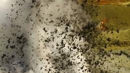 Audi Q5 w Nowej Zelandii - część 2 - galeria redakcyjna - inne zdjęcie