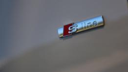 Audi Q5 w Nowej Zelandii - część 4 - galeria redakcyjna - inne zdjęcie