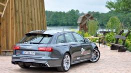 Audi RS6 Avant - galeria redakcyjna - widok z tyłu