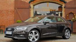 Audi A3 8V Hatchback 3d 1.8 TFSI 180KM - galeria redakcyjna - lewy bok
