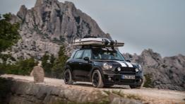 Mini Countryman ALL4 Camp (2013) - widok z przodu