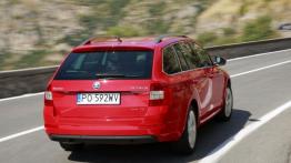 Skoda Octavia III Kombi 4x4 TDI (2013) - widok z tyłu