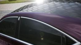 Citroen DS4 Faubourg Addict - dach