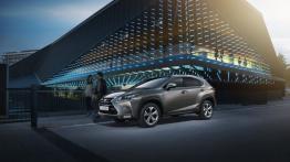 Lexus NX 300h (2014) - lewy bok