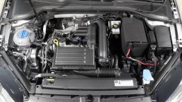 Volkswagen Golf VII Hatchback 3d TSI - silnik